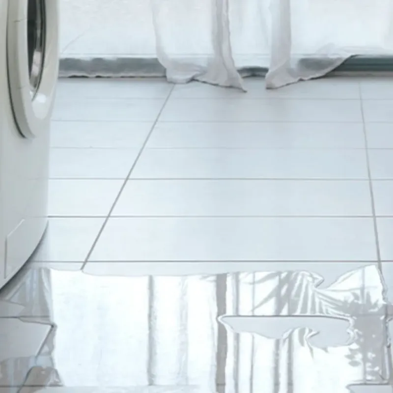 Appliance Leak Cleanup in Fellsmere, FL